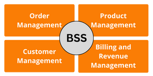 What is BSS (Business Support Systems)?