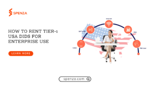 Rent Tier-1 USA DIDs