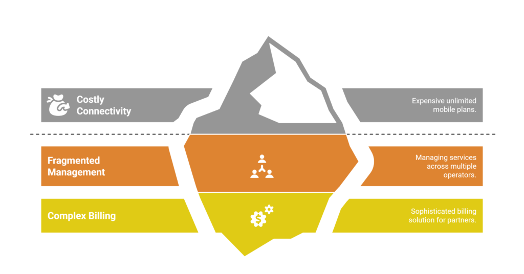 Unlocking Growth in a Complex Connectivity Market