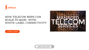 Telecom MSP