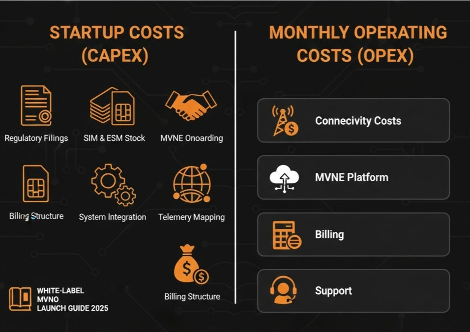 MVNO Cost, ROI, and Investment Breakdown