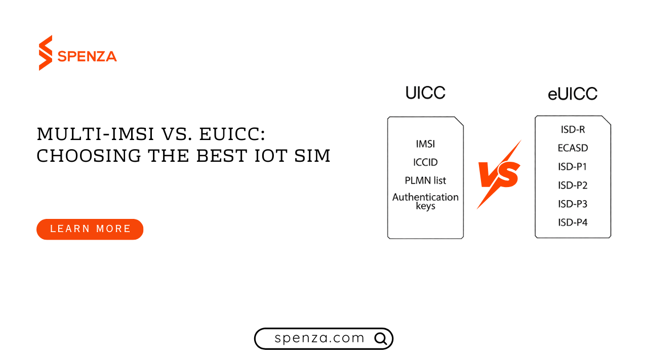 Multi-IMSI vs. eUICC: Choosing the Best IoT SIM