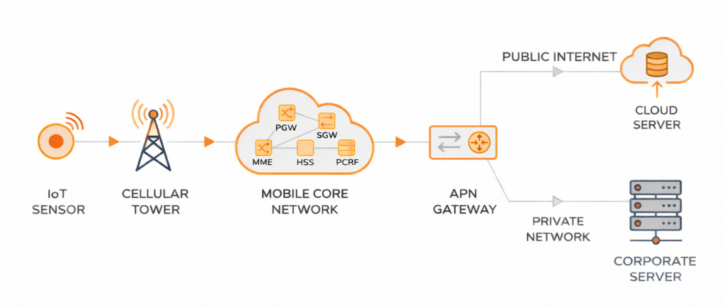 Diagram showing how an APN routes IoT device traffic from the cellular network to the cloud or private server
